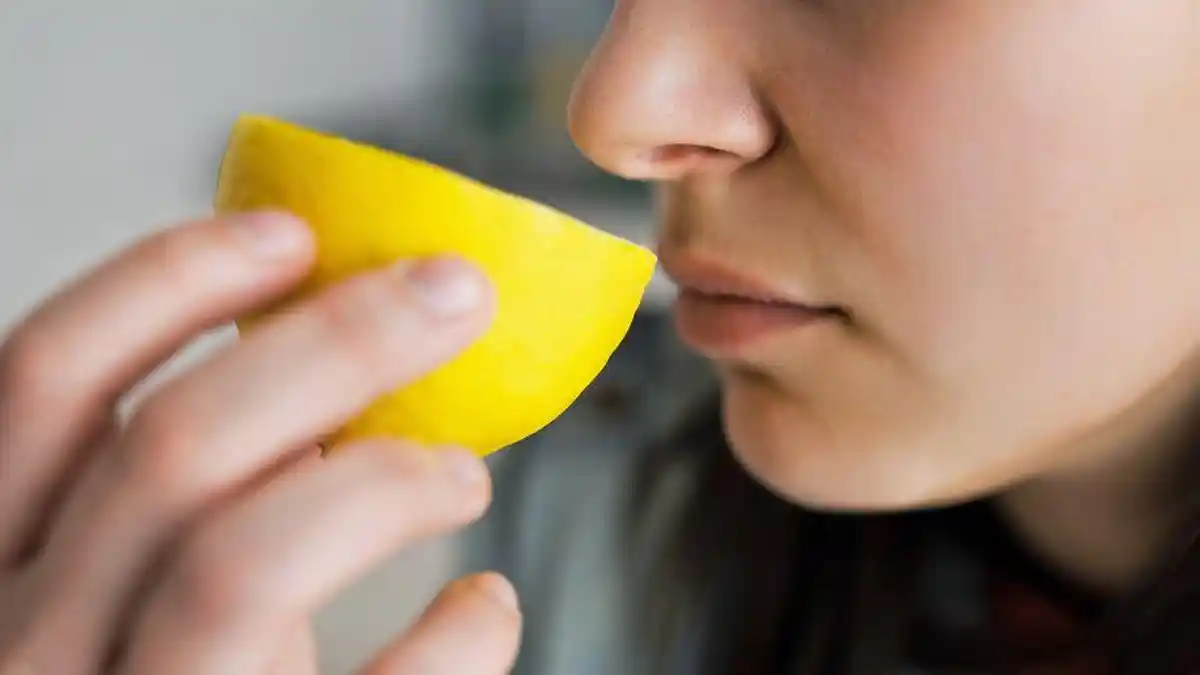 Tips agar Indra Penciuman Kembali Normal ! Berapa Lama Anosmia akan Sembuh ?