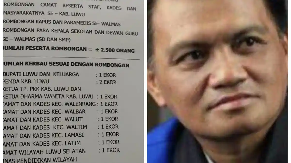 Basmin Mattayang dan Rombongan Sumbang 13 Ekor Kerbau untuk Upacara ...