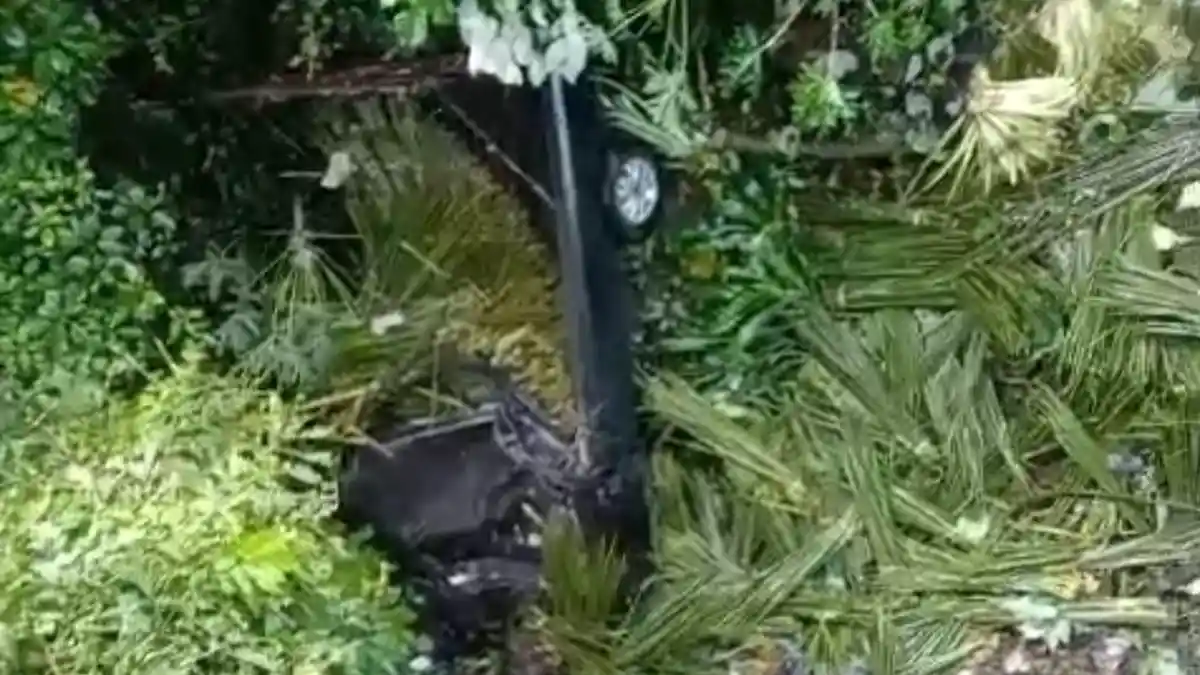 Mobil Pickup Terjun Ke Jurang Saat Diparkir Di Tanjakan, Sopir Alami Luka Robek Di Gianyar Bali