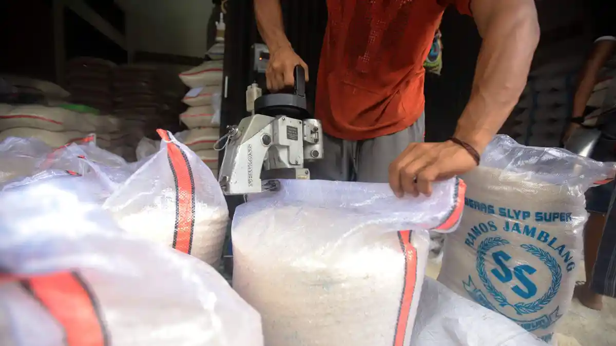 Stok Beras Nasional Aman, Panen Raya di Sejumlah Sentra Terus Berlangsung