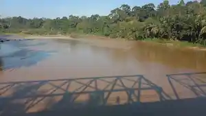 Kondisi-Sungai-Merangin-di-Desa-Pulau-Rengas.jpg