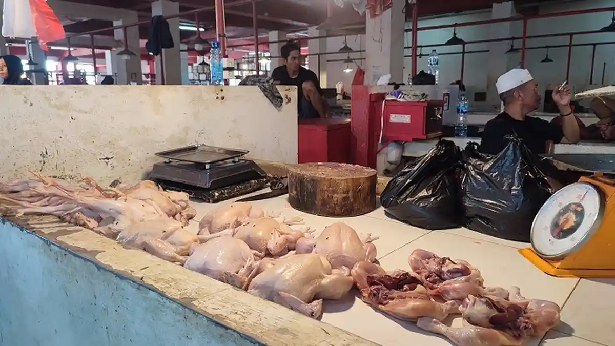 Harga Daging Ayam di Manado Sulawesi Utara Naik, Pedagang: Pendapatan Menurun