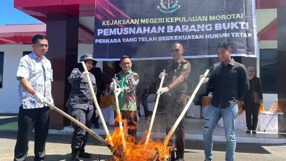 Pj Bupati dan Pihak Kejaksaan Morotai Musnahkan Ganja dan Sabu-sabu