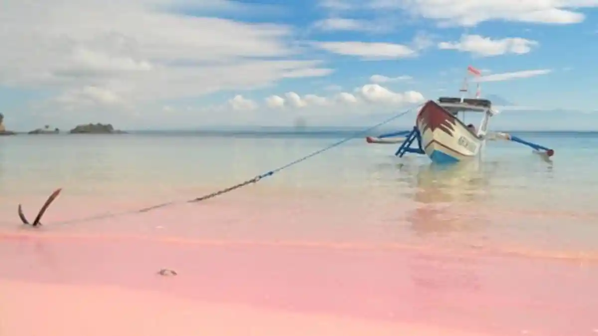 A Pink Paradise Awaits You in South Lombok