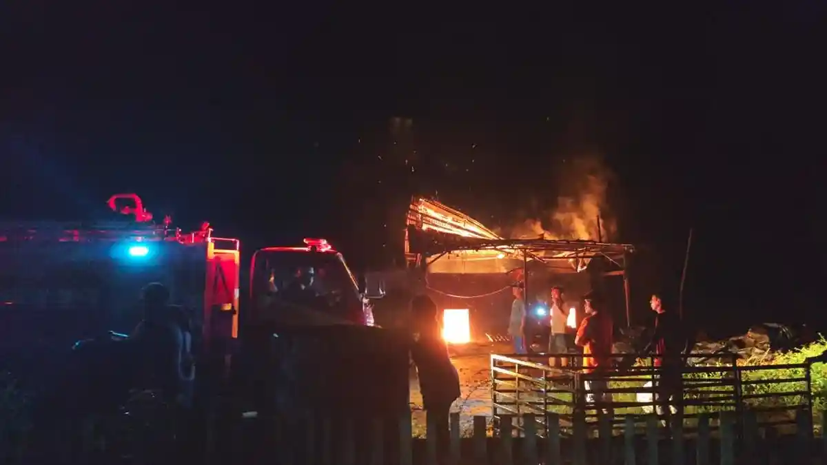 Kebakaran di Boalemo Gorontalo Jumat Malam, Pemilik Rugi Ribuan Kelapa dan Jutaan Rupiah