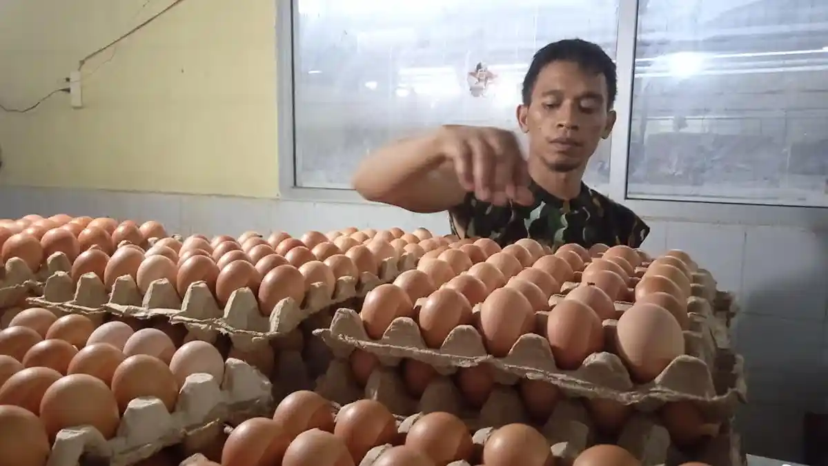 Jelang Maulid, Harga Telur Mulai Naik di Pasar Tramo Maros