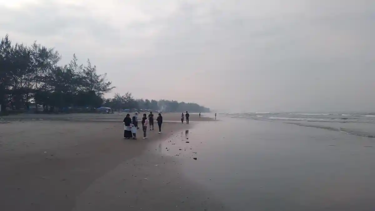 8 Warga Tersengat Ubur-ubur Biru di Pantai Berkas Bengkulu, Nelayan Keliling Peringati Pengunjung