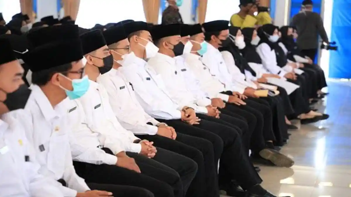 Penerimaan CPNS 2023, Cek 4 Formasi Prioritas dan Syarat Daftarnya
