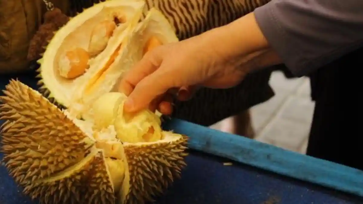 Ini Siasat Mengemas Durian dan Oleh-oleh dengan Aroma Menyengat