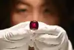 Melihat Pesona Batu Ruby Terbesar di Dunia