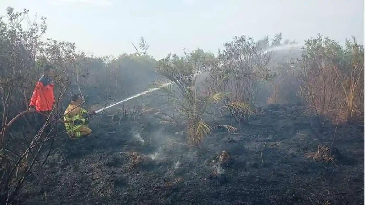 Panas Ekstrem, Lahan di Bate Puteh Langsa Timur Terbakar, Ini Imbauan BPBD