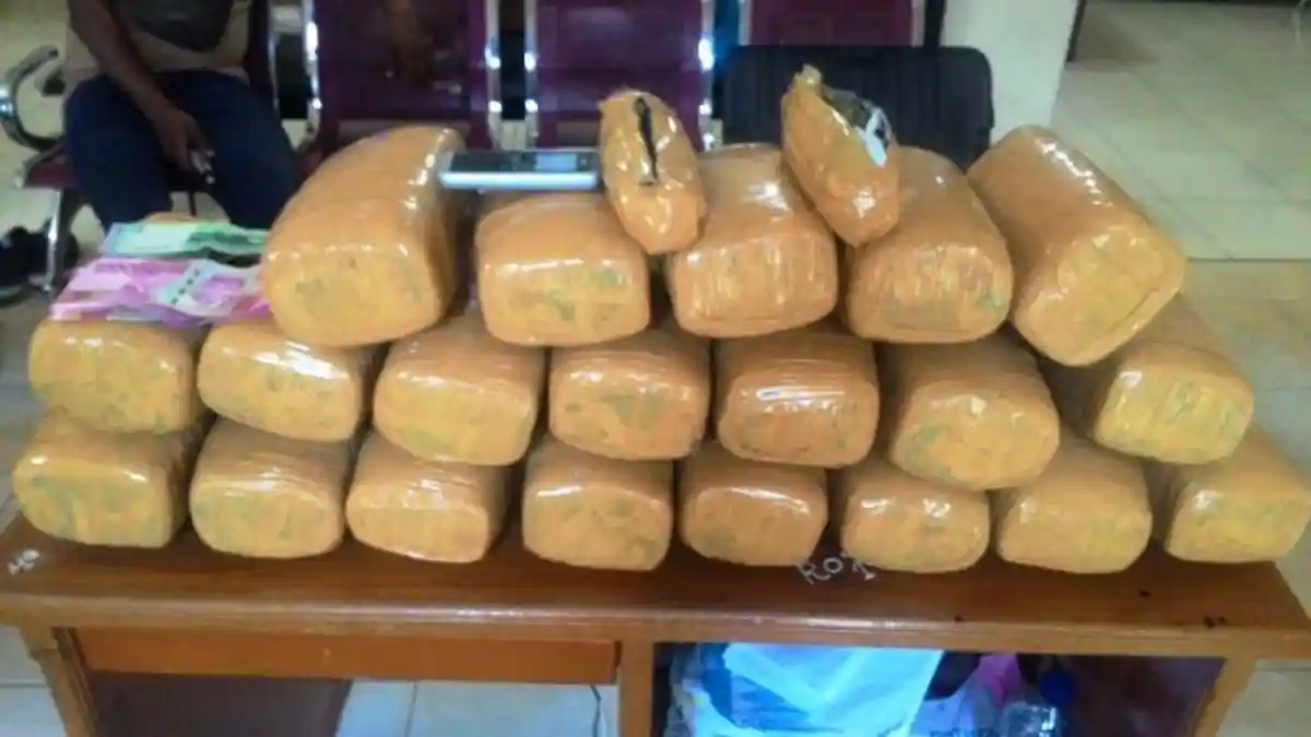 Nasib Pemuda Semarang Jadi Pengangguran Setelah Lulus S2, Kini Malah Ditangkap Polisi