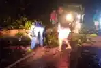 Info DLH Manado: 7 Pohon Roboh saat Hujan Deras dan Angin Kencang Melanda Ibu Kota Sulut