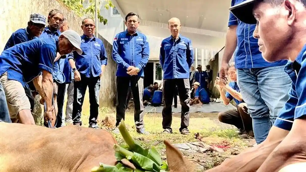 DPC Demokrat Palembang Sembelih 2 Ekor Sapi Kurban, Yudha : Kader Demokrat Terus Hadir di Masyarakat
