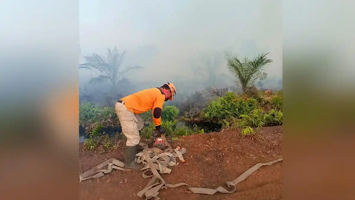 Siaga Karlahut di Inhu, 5 Wilayah Kecamatan di Inhu Riau Menjadi Daerah ...