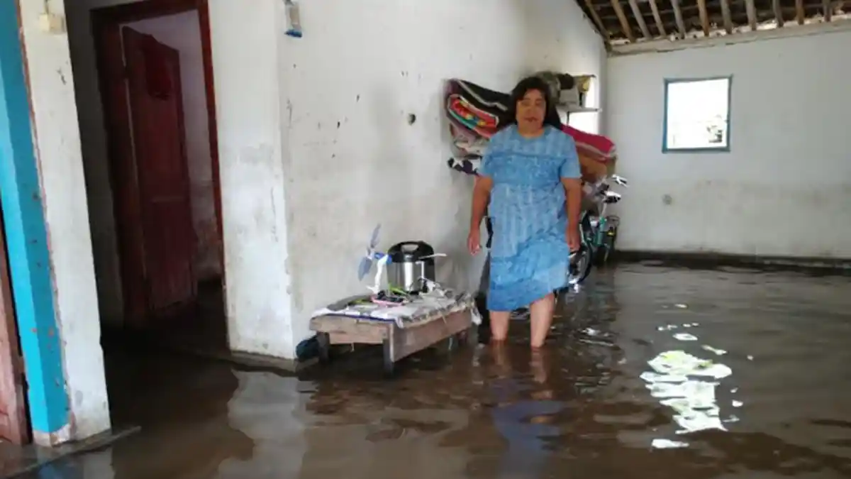 Banjir di Jember Datang Ketika Warga Masih Tidur, Terbangun Air Sudah Mengepung Rumah
