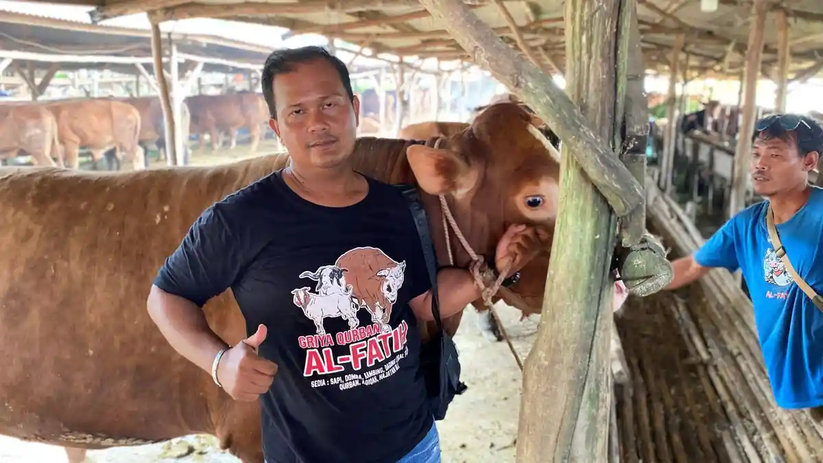 Gagal Jadi Peternak Bebek, Hendrik Kini Justru Sukses Jadi Juragan Sapi di Indramayu, Ini Kisahnya