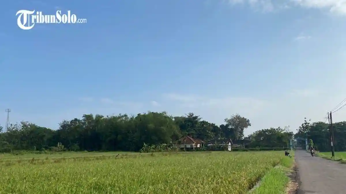 Prakiraan Cuaca Kabupaten Boyolali Rabu 10 Juni 2026, Mayoritas Cerah Berawan Seharian