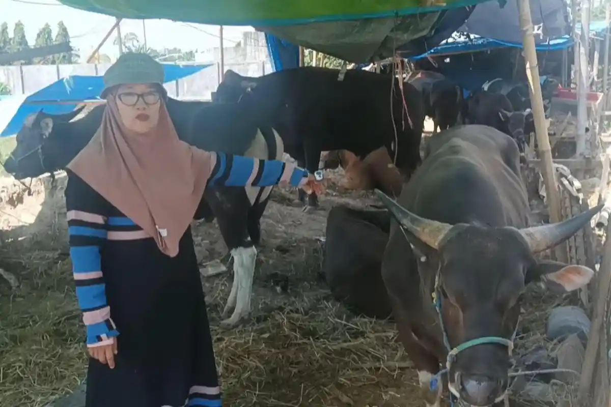 Jelang Idul Adha 2024, Harga Sapi Kurban Naik 20 Persen di Gowa Sulawesi Selatan