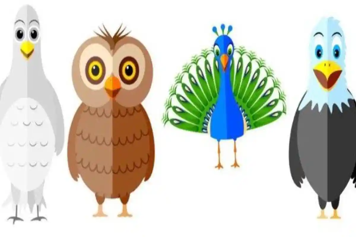 Tes Kepribadian: Burung yang Kamu Pilih Bisa Ungkapkan Sifat Positif dan Negatifmu