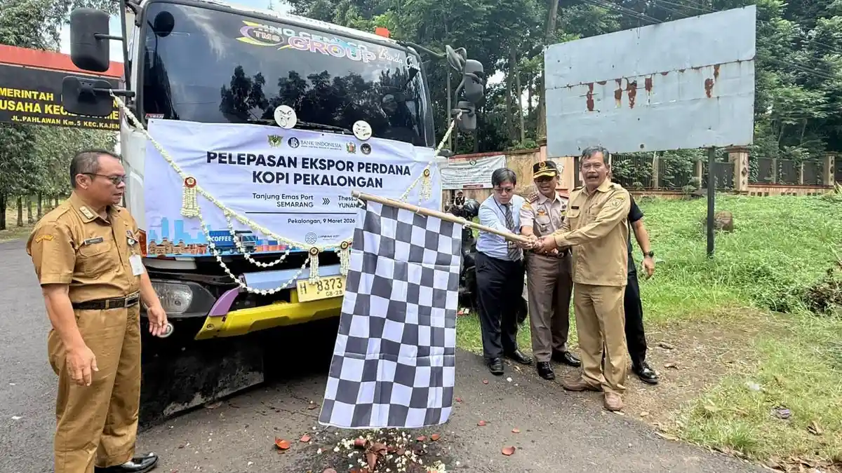 Kopi Robusta Kutorojo Pekalongan Tembus Pasar Ekspor Yunani, Apa Istimewanya?