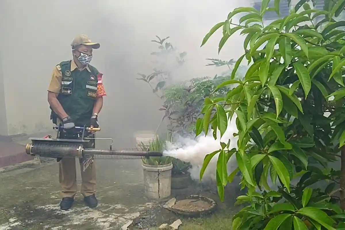 2 Orang Meninggal Karena DBD, Dinkes Batanghari Minta Masyarakat Lakukan Pemberantasan Sarang Nyamuk