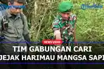 tim-gabungan-cari-harimau.jpg