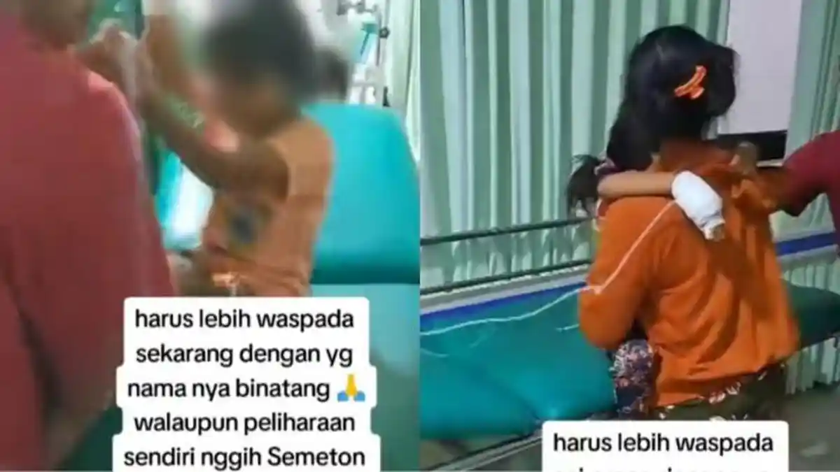 Bocah 5 Tahun Meninggal Dunia Diduga Akibat Rabies, Sempat Digigit Anjing Peliharaan Keluarganya