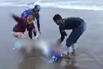 Potongan Tubuh Manusia Terdampar di Pantai Wilayah Kalianda Lampung Selatan