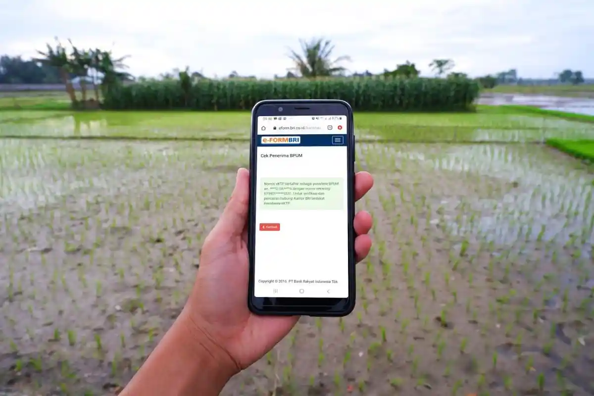 Cek Status Bantuan UMKM Melalui eform.bri.co.id/bpum, Cukup Masukkan Nomor KTP & Kode Verifikasi