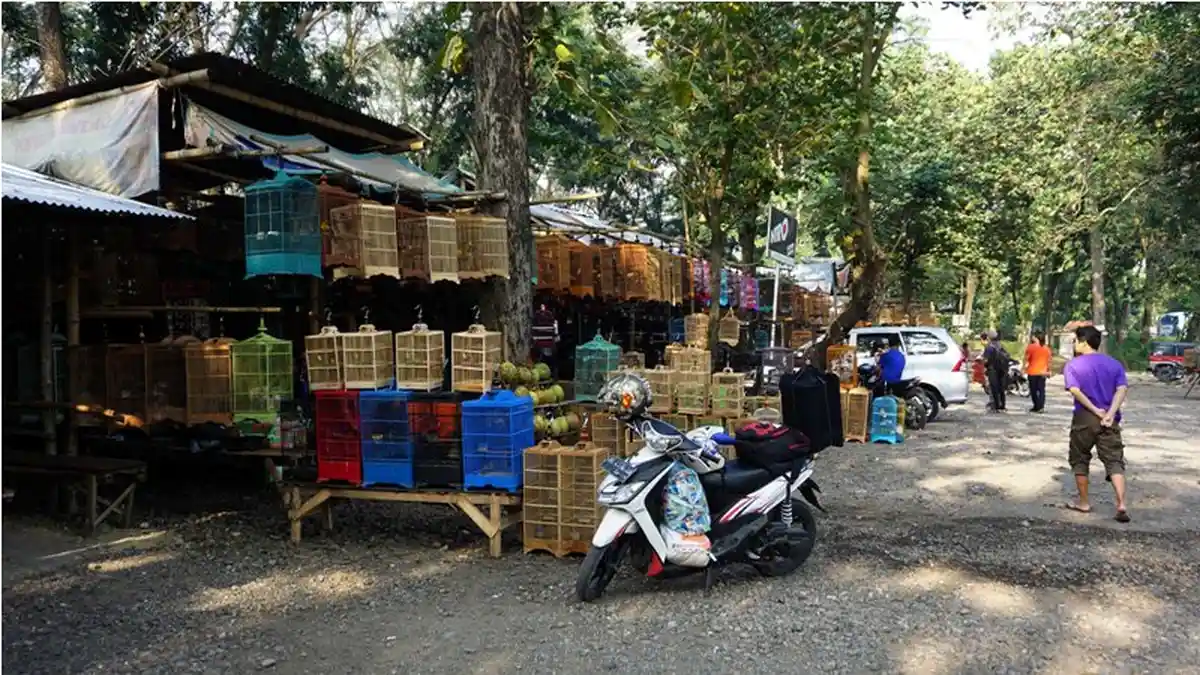 Singgah ke Pasar Burung Monumen Soerjo Ngawi yang Berada di Tengah Rimbunnya Hutan