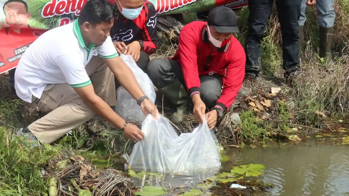 DPC PDI Perjuangan Bangka Laksanakan Normalisasi Sungai Rambak dan Tebar 4.000 Benih Ikan