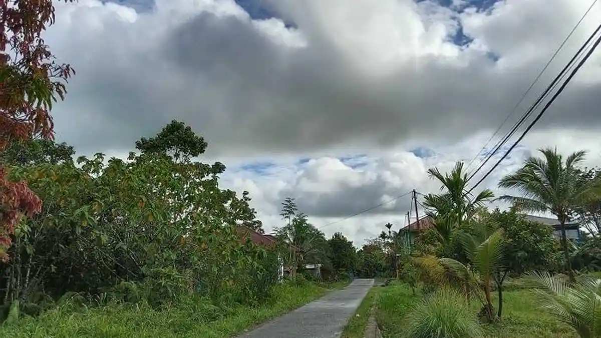 INFO PRAKIRAAN CUACA: Hari Ini 16 Distrik di Mimika Diprediksi Diguyur Hujan Ringan hingga Sedang