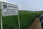 Pemkot-Malang-Wacanakan-Bangun-Gedung-Koperasi-Merah-Putih-di-LSD-Bukan-RTH.jpg