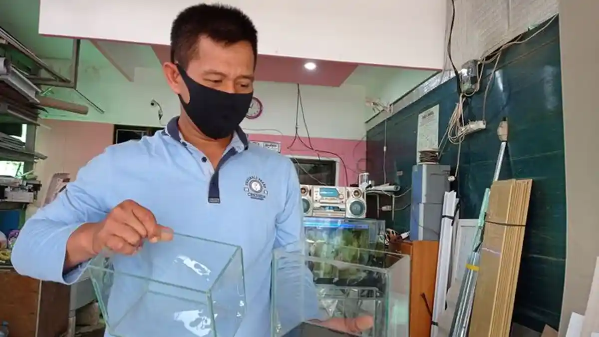 Bisnis Akuarium Mini,  Omzetnya  Bisa Jutaan Rupiah Sehari