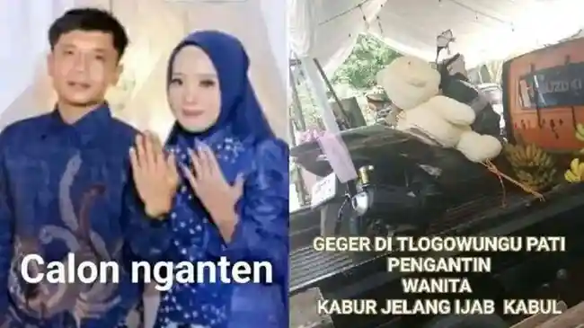 Tribun