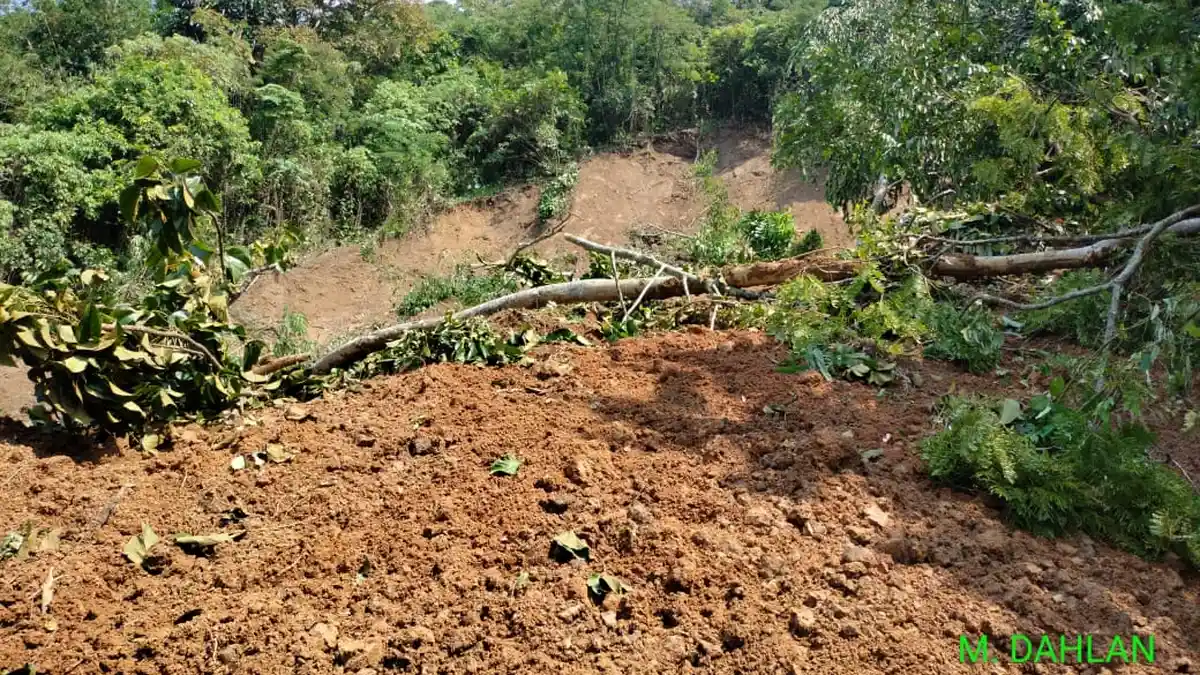 BPBD Keluarkan Peringatan Dini Banjir dan Longsor di Taman Nasional Gunung Halimun Salak