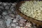 Harga Bawang Putih di Makassar Hanya Rp 36 Ribu Sekilo, Ada di Toko Ini