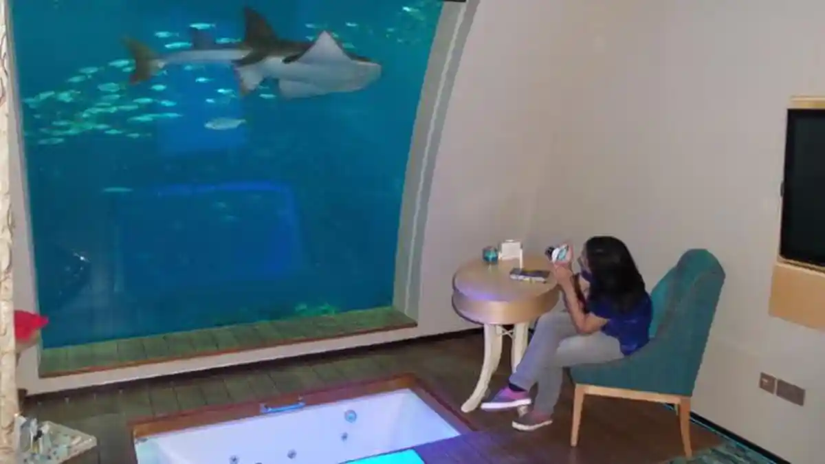 Sea Aquarium Singapura, Anda Bisa Tidur Bersama 800 Spesies Hewan Laut