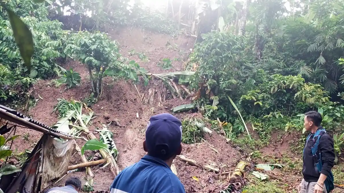 Diawali Suara Gemuruh, Tebing Setinggi 12 Meter Longsor, Timpa Kamar Mandi Warga di Desa Soco Kudus