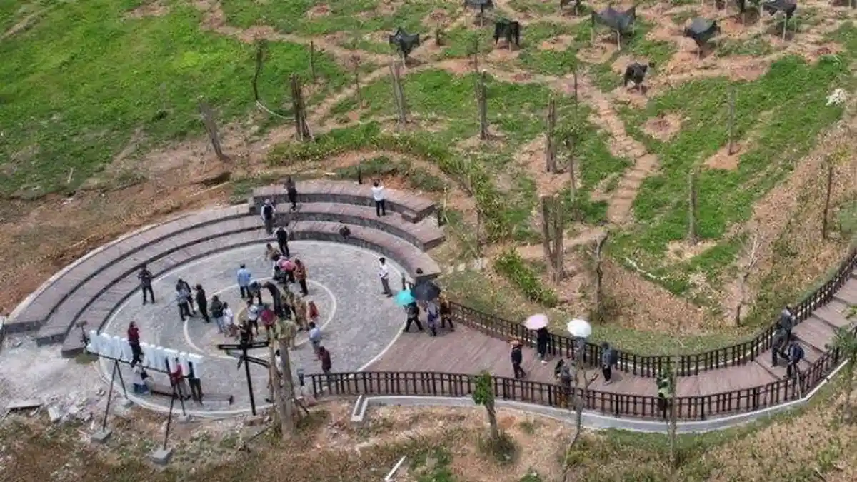 PT PP Pastikan Terlibat dalam Proyek IKN hingga Bentuk Tim Khusus, Kata Dirut PP soal Nilai Kontrak