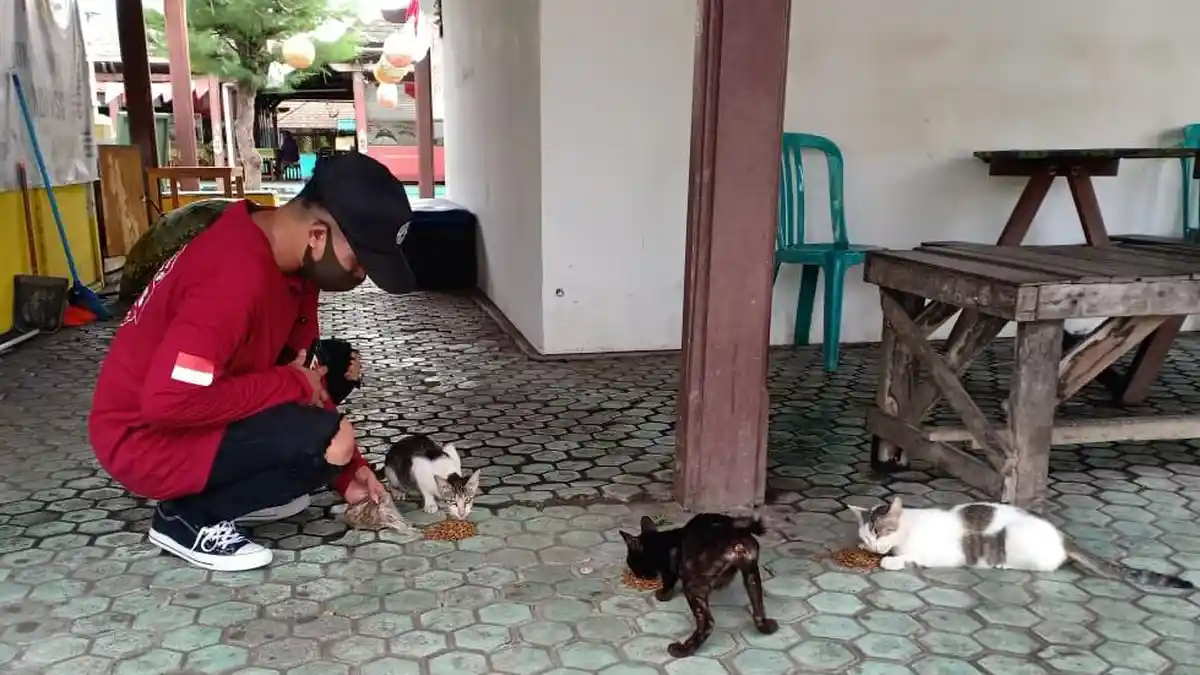 PKJS, Komunitas Penyelamat Kucing-kucing Liar di Kutai Timur