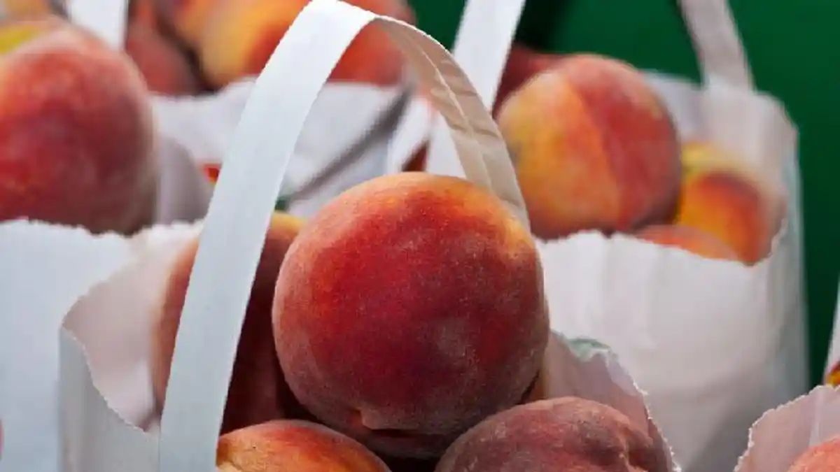 Tiga Manfaat Buah Persik Bagi Kesehatan, Simak Ulasannya