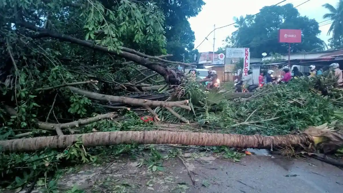 Pasca Penetapan Status Darurat Bencana, Walikota Kupang Kembali Rapat Bersama Forkopimda,Simak Info