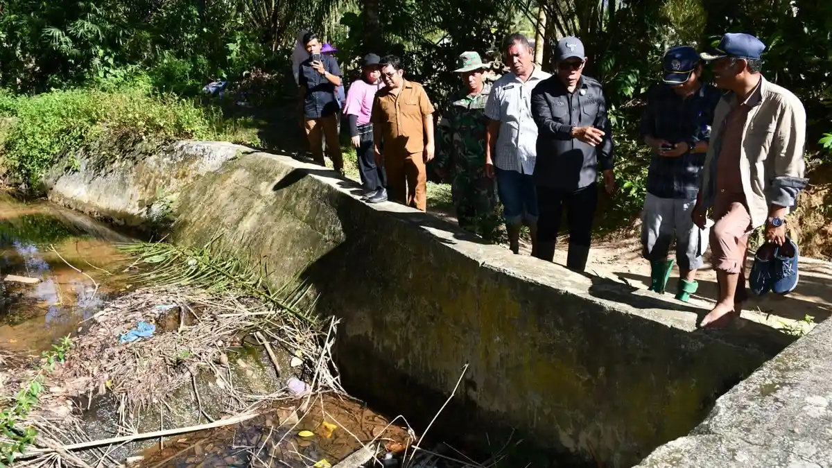Bupati Tapteng Masinton Normalisasi Sungai dan Sawah di Tukka, Akui Bona Lumban Paling Parah
