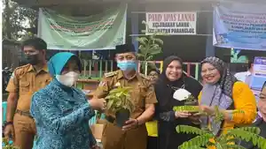 tanaman-obat-hipertensi.jpg