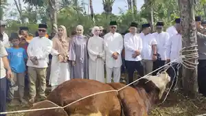 Bupati-Tapanuli-Selatan-Gus-Irawan-Pasaribu-menyerahkan-sapi-kurban-dari-Presiden-Prabowo.jpg