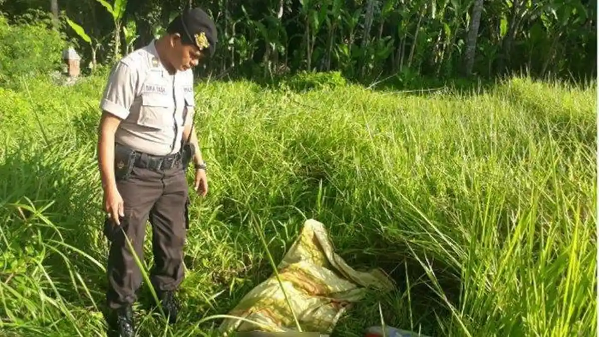 BREAKING NEWS: Mayat Pria Lansia Ditemukan di Ladang