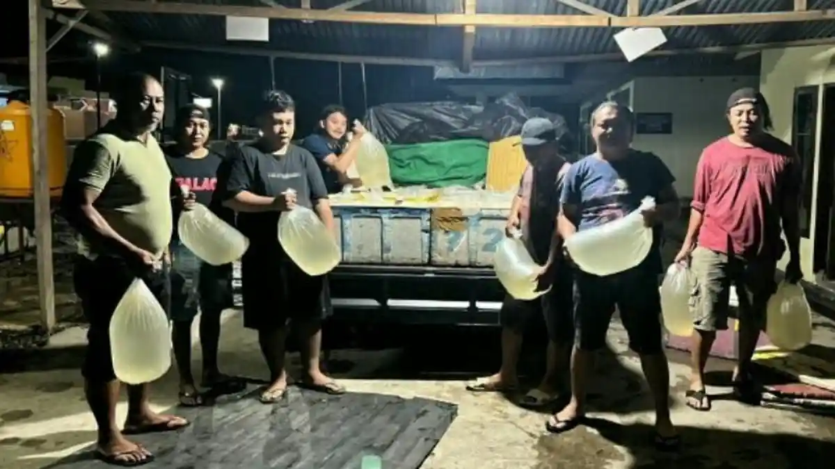 Penjual Captikus di Bolmong Sulawesi Utara Diringkus Polisi, Ini Kronologinya