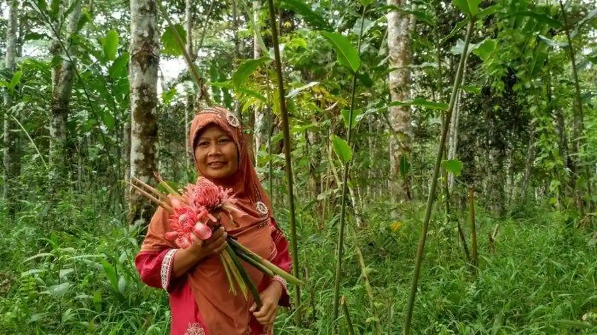 Rita Wati Bergerak Selamatkan Hutan Larangan di Rejanglebong Bengkulu
